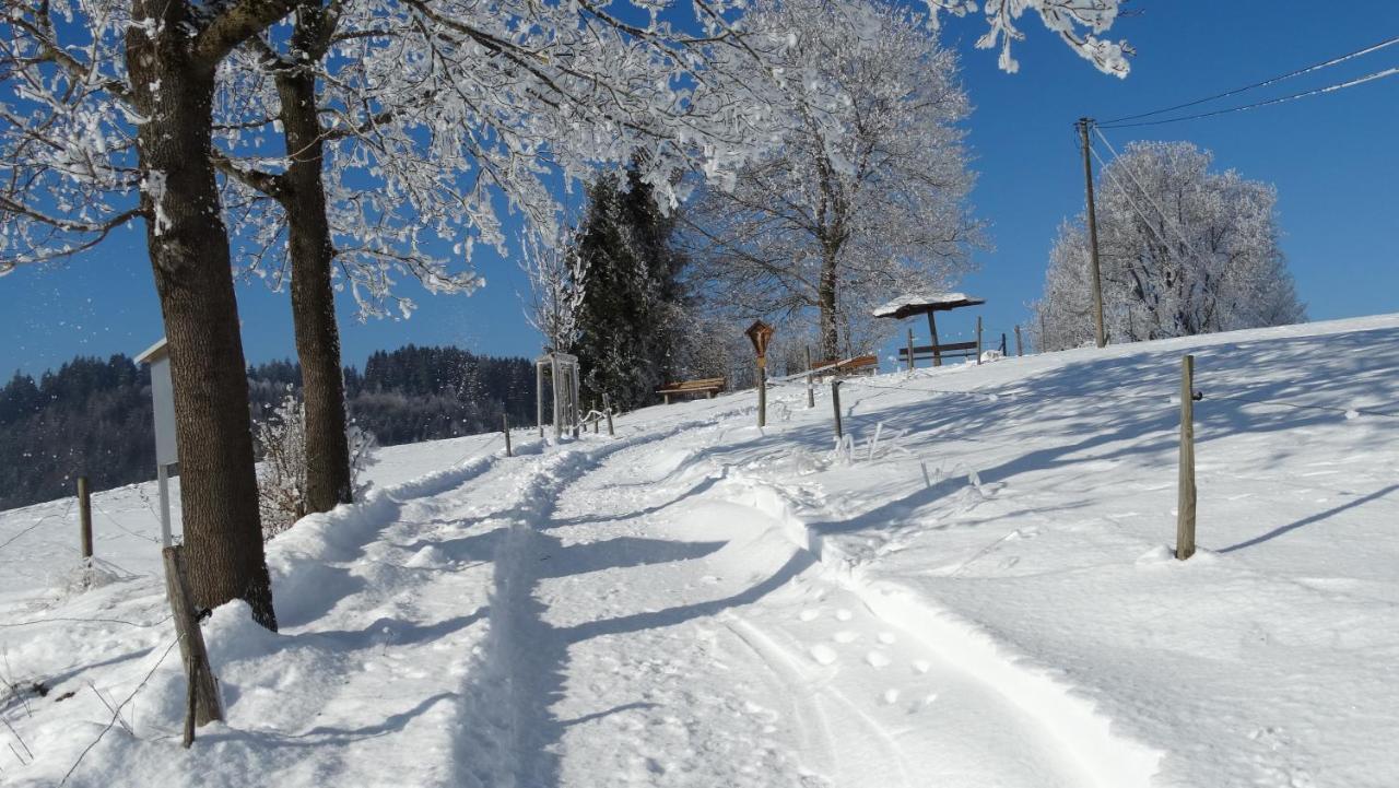 Ferienwohnung Alpenstern Ріден Екстер'єр фото